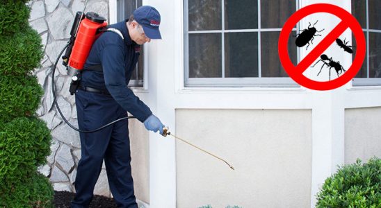 Akkuş Akrep İlaçlama böcek ilaçlama ve haşere kontrolü — ilaclama-tr.com